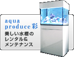 水槽レンタル・メンテナンスの アクアプロデュース彩-sai-